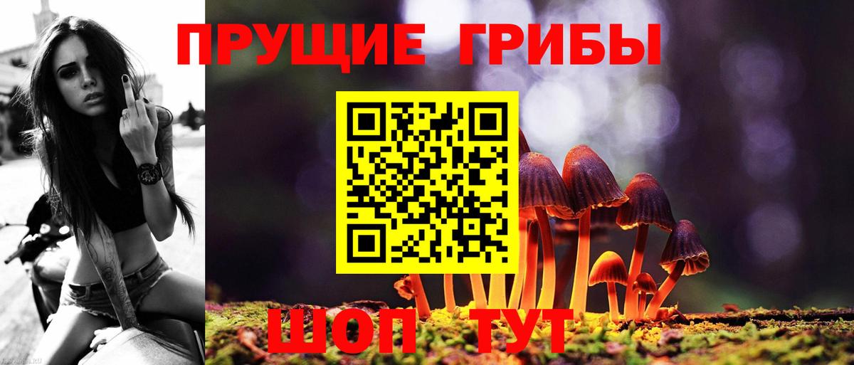 Галлюциногенные грибы MAGIC MUSHROOMS  Вход с VPN  Арсеньев 