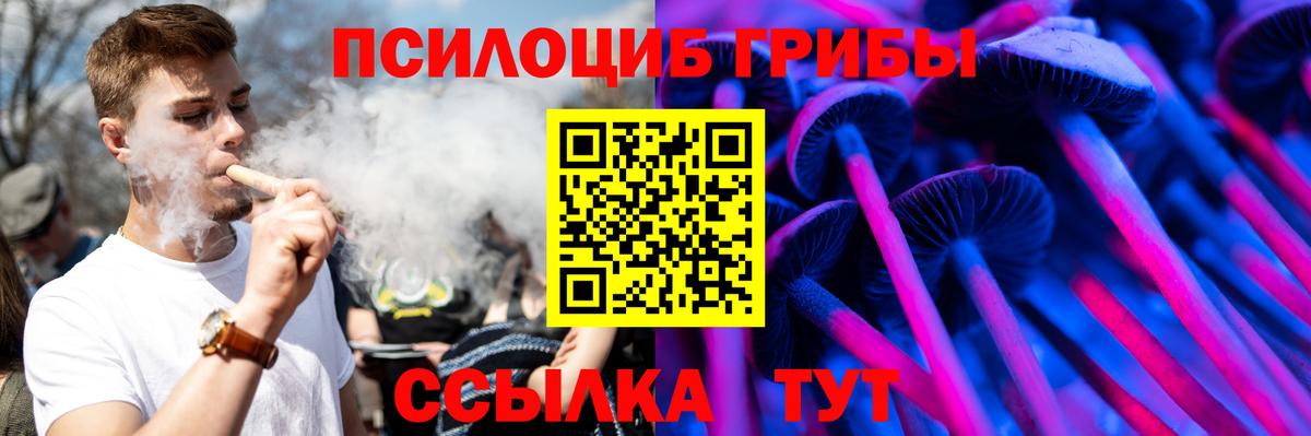Псилоцибиновые грибы Psilocybine cubensis Арсеньев